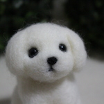 ぽっちゃりマルチーズちゃん②