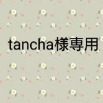 tancha様専用、ミニチュアの花「福寿草」