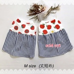 値下げ‼︎新作✨完成品/犬服‼︎小型犬Mサイズ フルーツ柄×ヒッコリーワンピース/スムースニット/オールシーズン 🍓🍎2,200円→1,500円