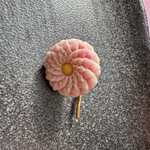 はさみ菊のポニーフックピンク