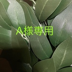 A様専用