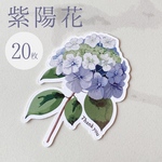 サンキューカード　紫陽花　20枚　ギフトカード　ラッピング　ウェディング　初夏　父の日　ハンドメイド　素材　梅雨