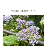 *kenshin1220様オーダー*