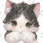 ℳ. xoxoshop オリジナル装飾ステッカー
