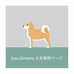 kazu3mamaさま専用ページ