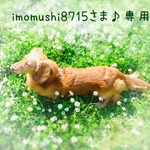 imomushi8715さま♪専用