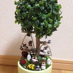 どんぐりの森