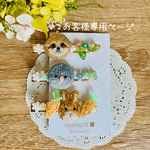 お客様専用ページ🦥🍃🥕🪻
