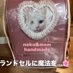世界に一つだけ🎒うちの子ランドセルカバー🎒✨猫