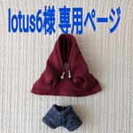 ☆lotus6様専用ページ☆