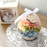 【選べるタグデザイン】虹ボール*ペット用仏花　　虹の橋 お供え プリザーブドフラワー 犬 猫 うさぎ 枯れない コンパクト 省スペース 可愛い ナチュラル オシャレ 仏壇  初盆 インテリア 飾り 