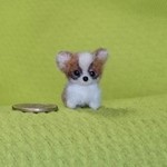 チワワ レッド&ホワイト パピー羊毛フェルト