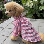 犬服　ドックウェア　小型犬　シャーリングスモックワンピース　ネーム　刺繍　オーダー
