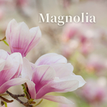 Magnolia｜更年期・ゆらぎ期に｜ホルモンバランスケア×リラックス×エイジングケア｜芯のある甘さと爽やかさが香るブレンド