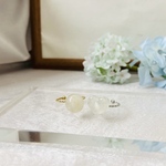 【送料無料】うちの子リング💍　金属アレルギー対応商品【わたしの側にずっと一緒に。毛を送るための”返信セット”付き・オーダーメイドペットアクセサリー】