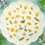 押し花素材658　黄色い小花のミックスセット　イエロー　グリーン　白