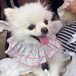 サクちゃん専用