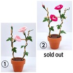 ちりめん細工　《  鉢植え朝顔咲いたよ 》　花色 ＊ 赤・ピンク系　夏の風物詩　