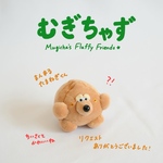 まんまるたまねぎくん🌟