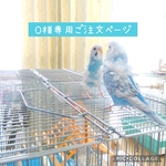 O様専用ご注文ページになります🍀🐦