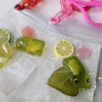 【再販】ぱっちりお目々のグミガエル〜Hyalinobatrachium fleischmanni〜