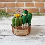 フェルトサボテン🌵寄せ植え5