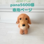 オーダーわんちゃん🐾pana5600様専用ページ