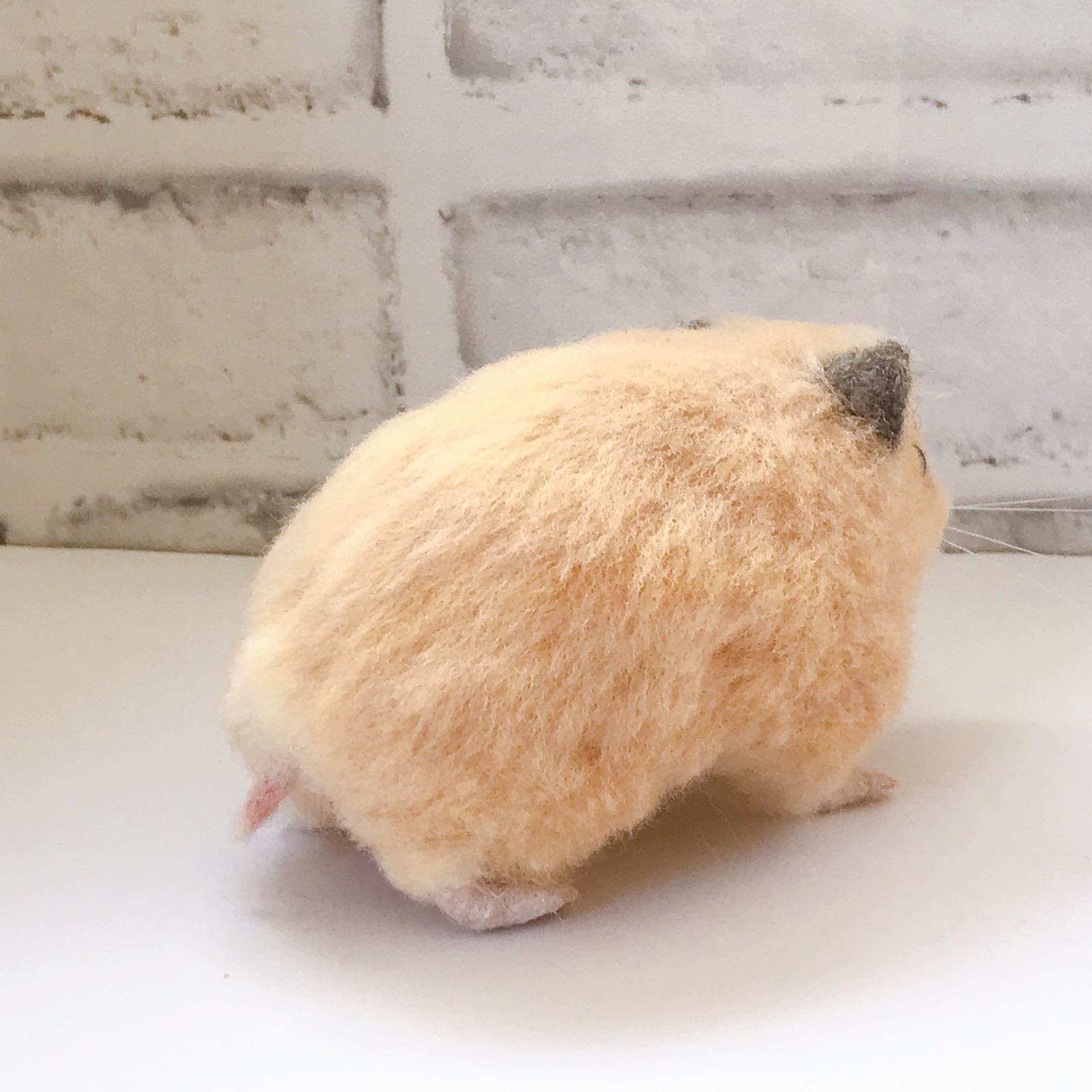羊毛フェルト キンクマハムスター - little rodents | minne byGMO