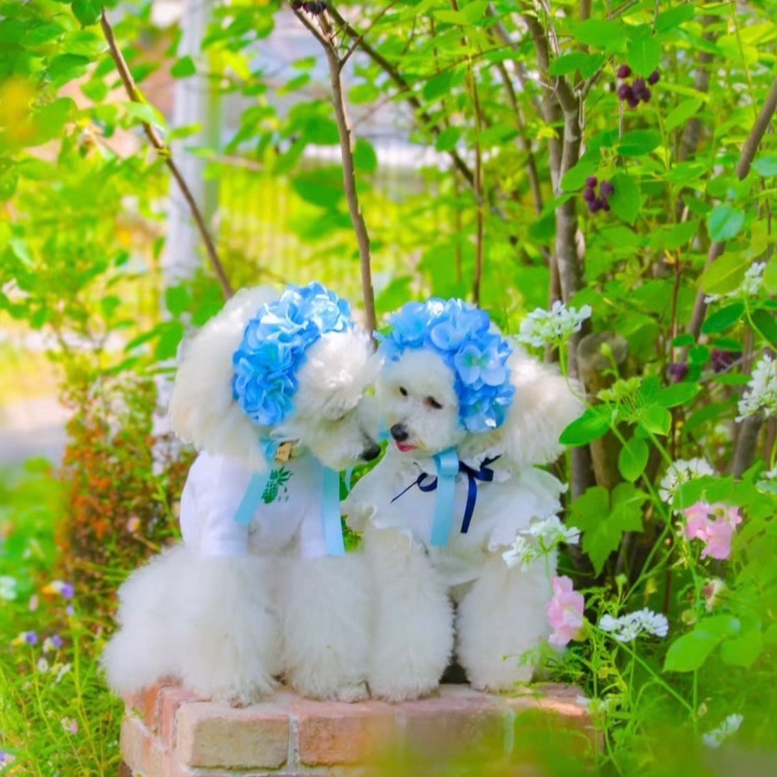 【新品/未使用】ヘッドドレス　ヘッドピース　カチューシャ　紫陽花　羽根飾り 新品/未使用】ヘッドドレス ヘッドピース カチューシャ 紫陽花 羽根