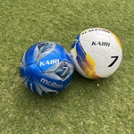 送料無料 【ボール用】お名前ステッカー  インテリアステッカー ウォールステッカー