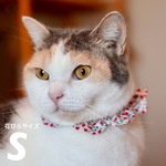 猫首輪《S》リバティ エド ピンクパープル