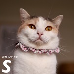 猫首輪《S》リバティ ケンジントンローズ ピンク