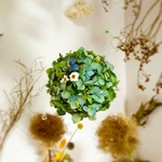 紫陽花のフライングボール(感謝価格)