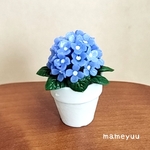 ミニチュア  紫陽花の鉢植え(ブルー系)
