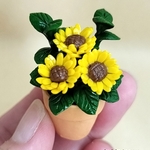 ミニチュア  ひまわりの鉢植え
