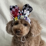 うさ耳カチューシャ🐰不思議の国のアリスVer.(小さめ)