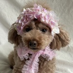 紫陽花のカチューシャ(ピンク)