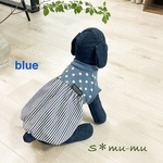犬服【ドット×ストライプ　バルーンワンピ🩵blue】
