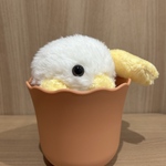 左衛門（さえもん）さん