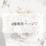 e様専用ページ＊