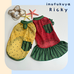 つぶつぶタネありスイカ🍉メッシュタンクトップ・ワンピース