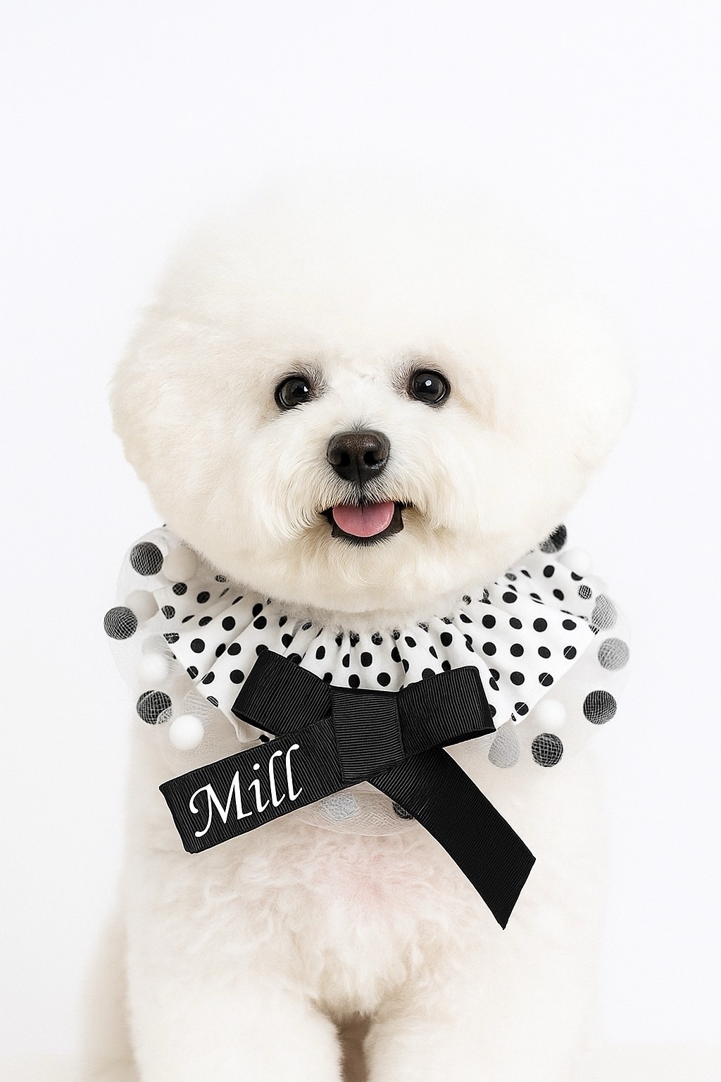 犬服 - ウェアの人気通販 | minne 国内最大級のハンドメイド