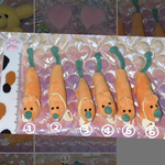 ぺっとのにんじん飼育セット