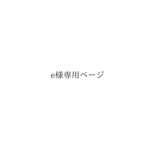 【レビュー割】e様専用ページ