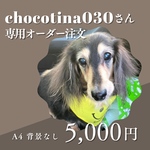 【chocotina030さん専用】オーダー注文　A4サイズ　送料無料　ペットの似顔絵　ダックスフンド