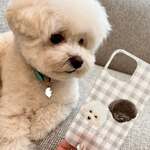 うちの子ギンガムチェック スマホケース│iPhone アンドロイド