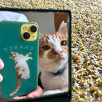 飼い猫の写真で作る うちの子スマホケース│ネコ