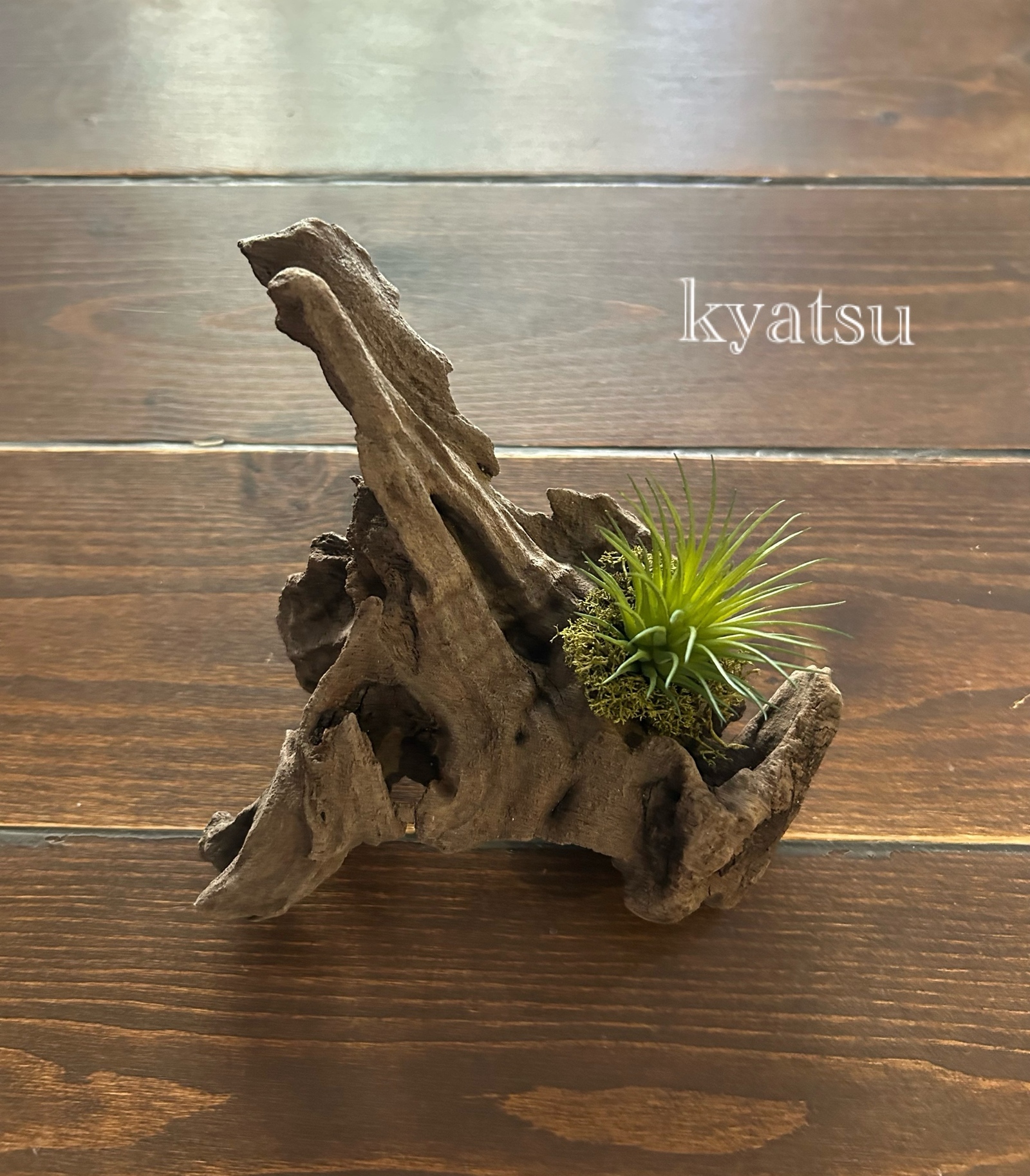 流木アート 流木グリーン☆オブジェ - kyatsu | minne byGMO