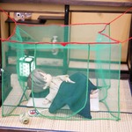 昭和レトロな夏の風景　蚊帳（かや）緑色　ミニチュア