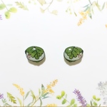 ～小さなピアスシリーズ～柏餅のピアス/ノンホールピアス(樹脂イヤリング)/チャーム